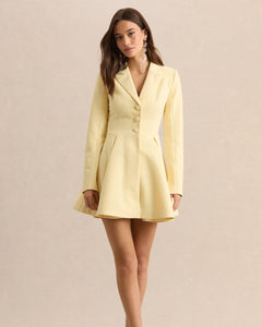 Citron Giselle Plunge-Neck Skater Mini Dress - back