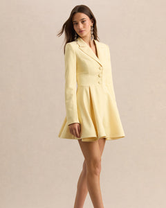 Citron Giselle Plunge-Neck Skater Mini Dress - detail