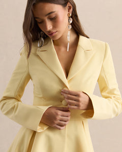 Citron Giselle Plunge-Neck Skater Mini Dress - styling